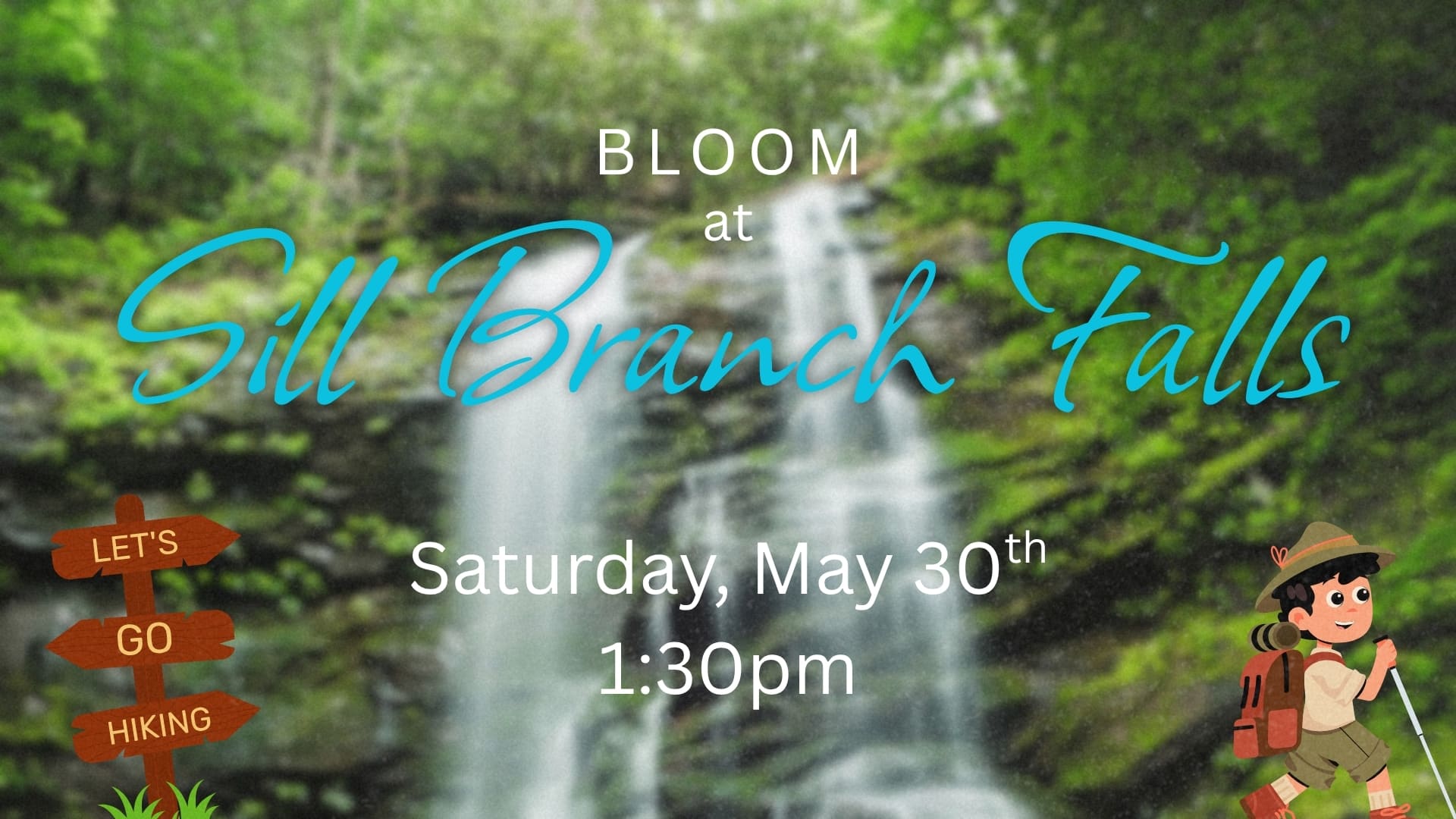 Bloom @ Still Branch